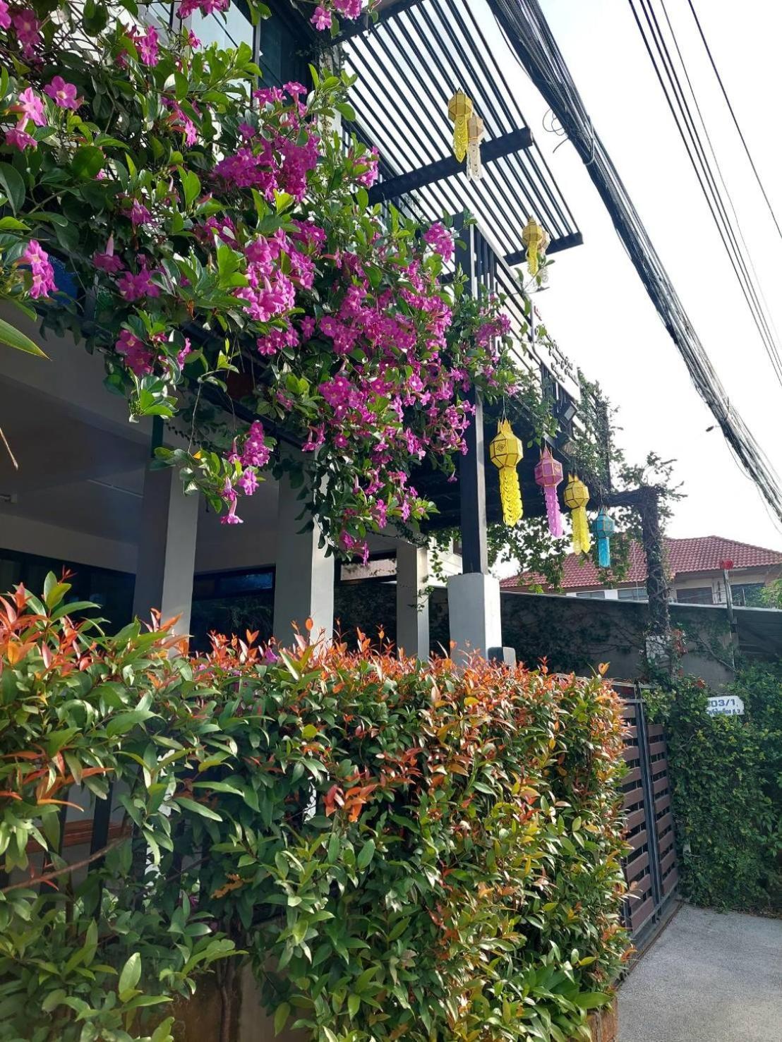 Villa Ld8 House Private Pool Perfect Groups -Families Chiangmai Chiang Mai Exterior foto